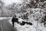 walking in snow2