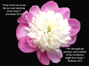 GodsWord.comfort