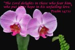 delight.Lord