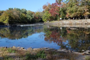 Tyler Park Newtown, PA