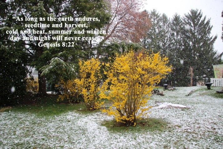 seasons.will.continue