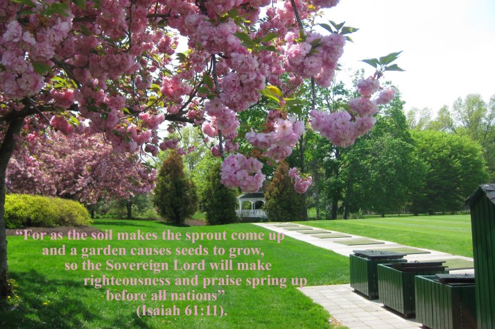 spring.praise.spring.up